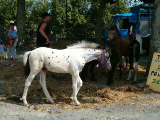 kermesse-2003-027