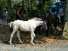 cliquez ici pour voir l'image (kermesse-2003-027.JPG)